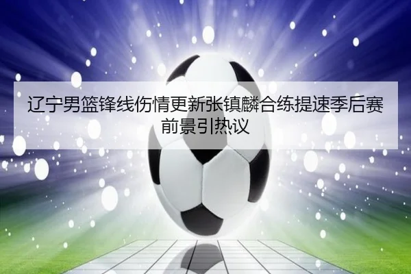 辽宁男篮锋线伤情更新张镇麟合练提速季后赛前景引热议